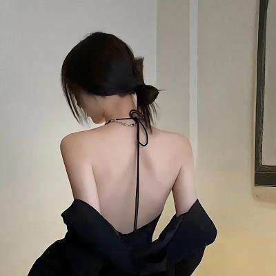 淑女宠爱